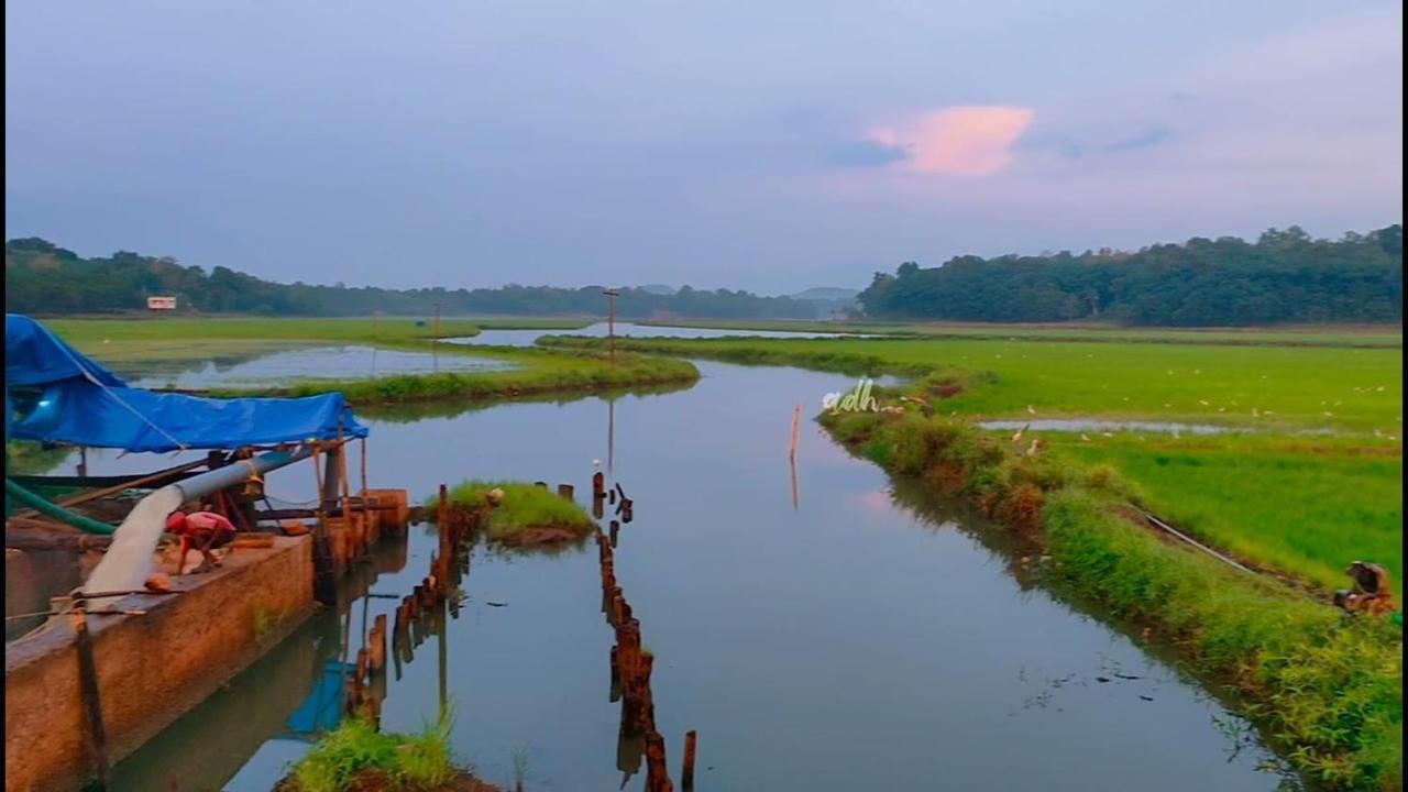 Hotel Gilead Holliday Tāmarakulam Exterior foto